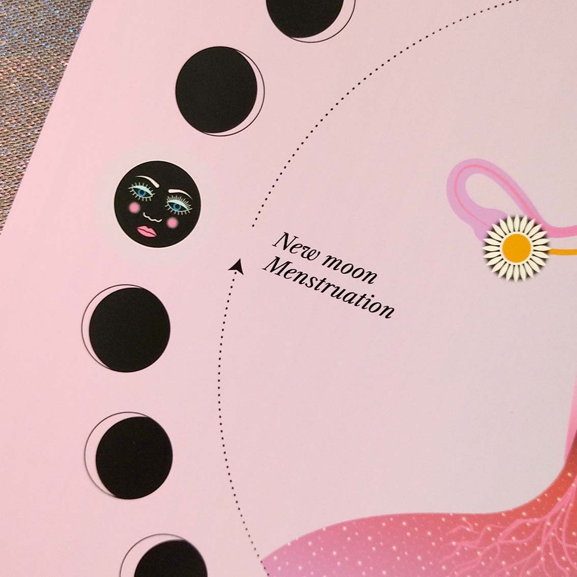 Lunar & Menstrual Cycle, Wall Art Print, Poster, Illustration