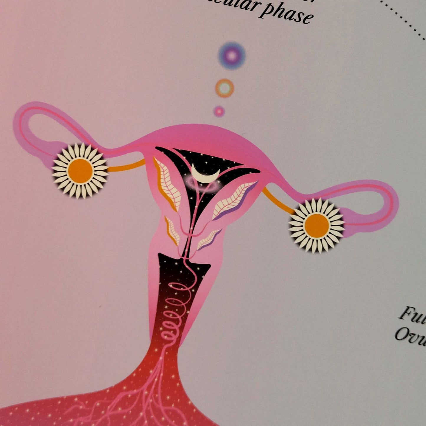 Lunar & Menstrual Cycle, Wall Art Print, Poster, Illustration