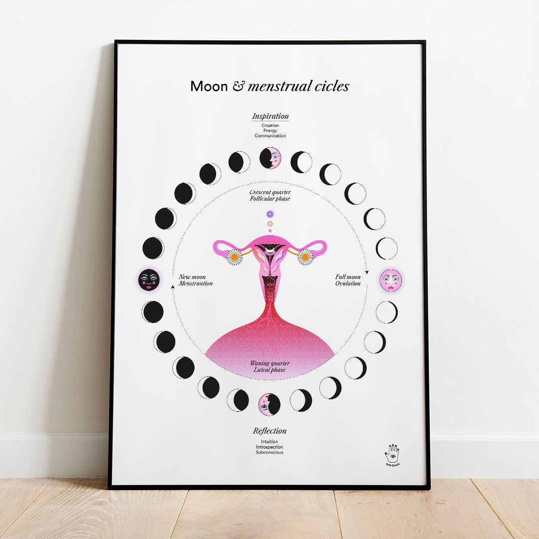 Lunar & Menstrual Cycle (w), Wall Art Print, Poster, Illustration