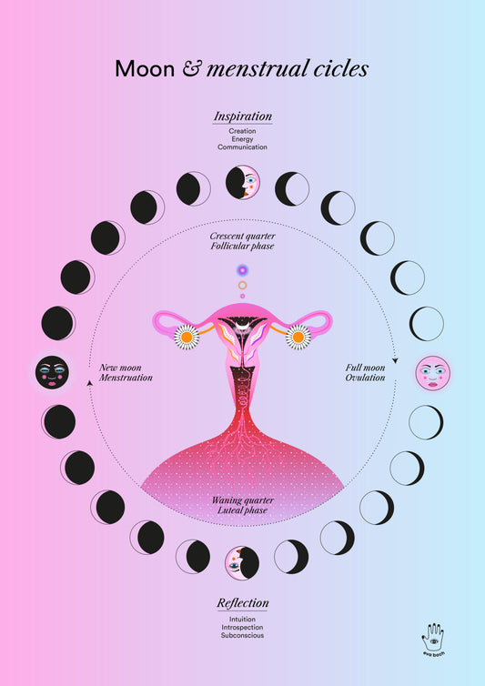 Lunar & Menstrual Cycle, Wall Art Print, Poster, Illustration